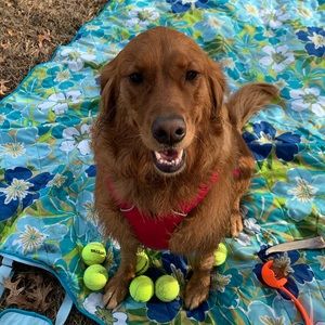 Meet your Posher, Kathleen